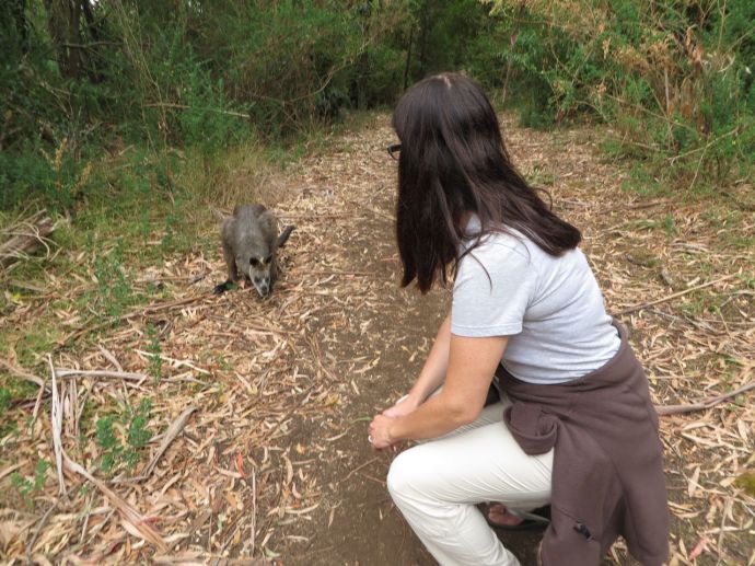 22(Amy near wallaby)